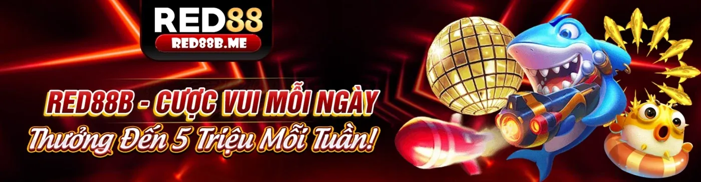 Hình ảnh đại diện Điều khoản và Điều kiện của ok3657