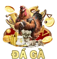 Cá cược quyền anh MMA ok3657