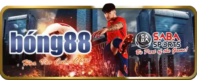 Chương trình VIP OK3657